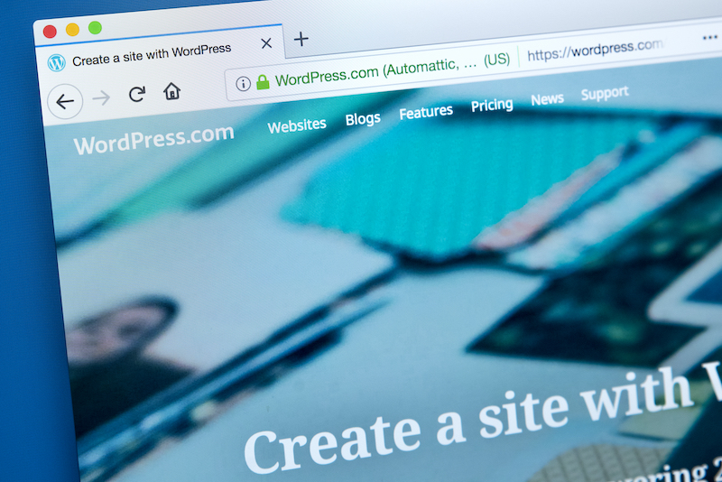 Reasons to Avoid Using a Free WordPress Theme for Your Website